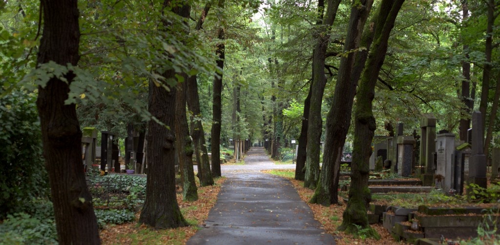 Cemeteries in Lazarevskoye and Sochi: How to Choose a Burial Site